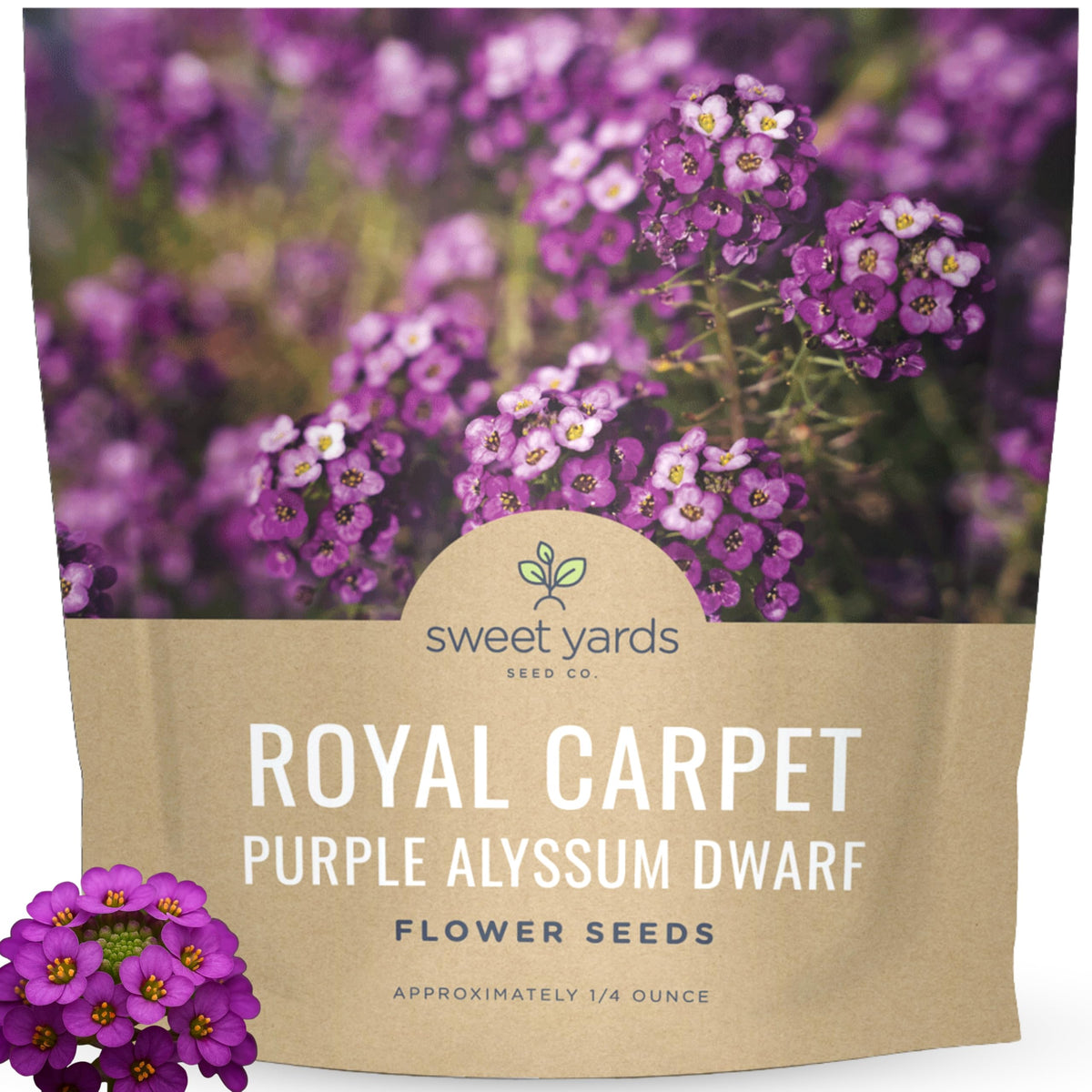 Sweet Yards Alyssum Dwarf Purple seed packet front, ideal for borders and walkways.