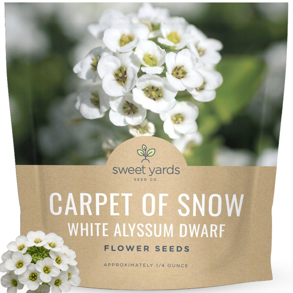 Sweet Yards Alyssum Dwarf White seed packet ready for sowing, with abundant seeds for a snowy carpet.