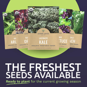 Sweet Yards amaranth seed pack for color-rich garden greens