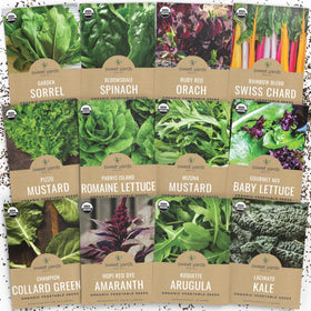 Sweet Yards arugula seed pack for fresh, zesty salads