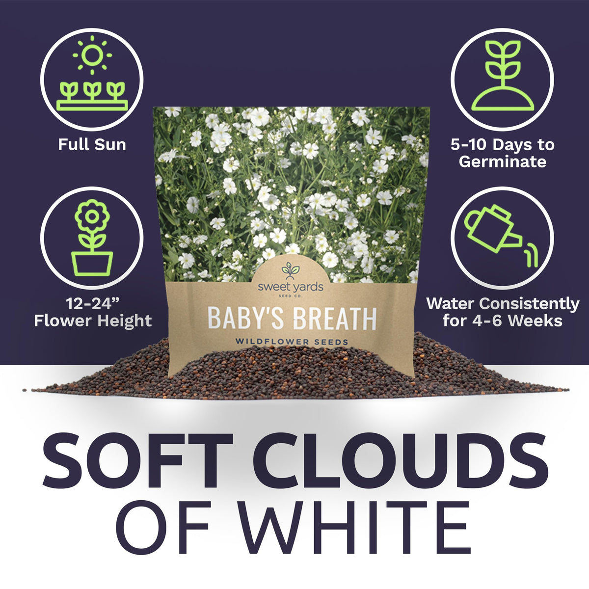 Sweet Yards Baby's Breath grows to about 18 inches tall outdoors.