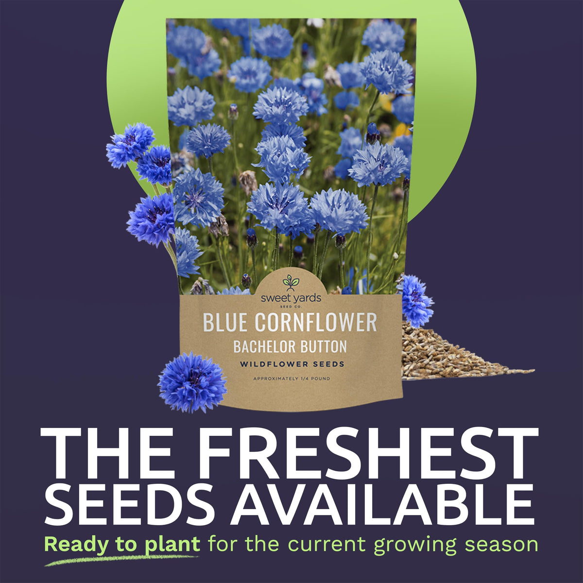 Sweet Yards Bachelor Buttons seeds open-pollinated for resilient beds