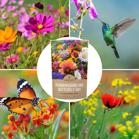 SWEET YARDS backyard wildflower border for color and pollinators