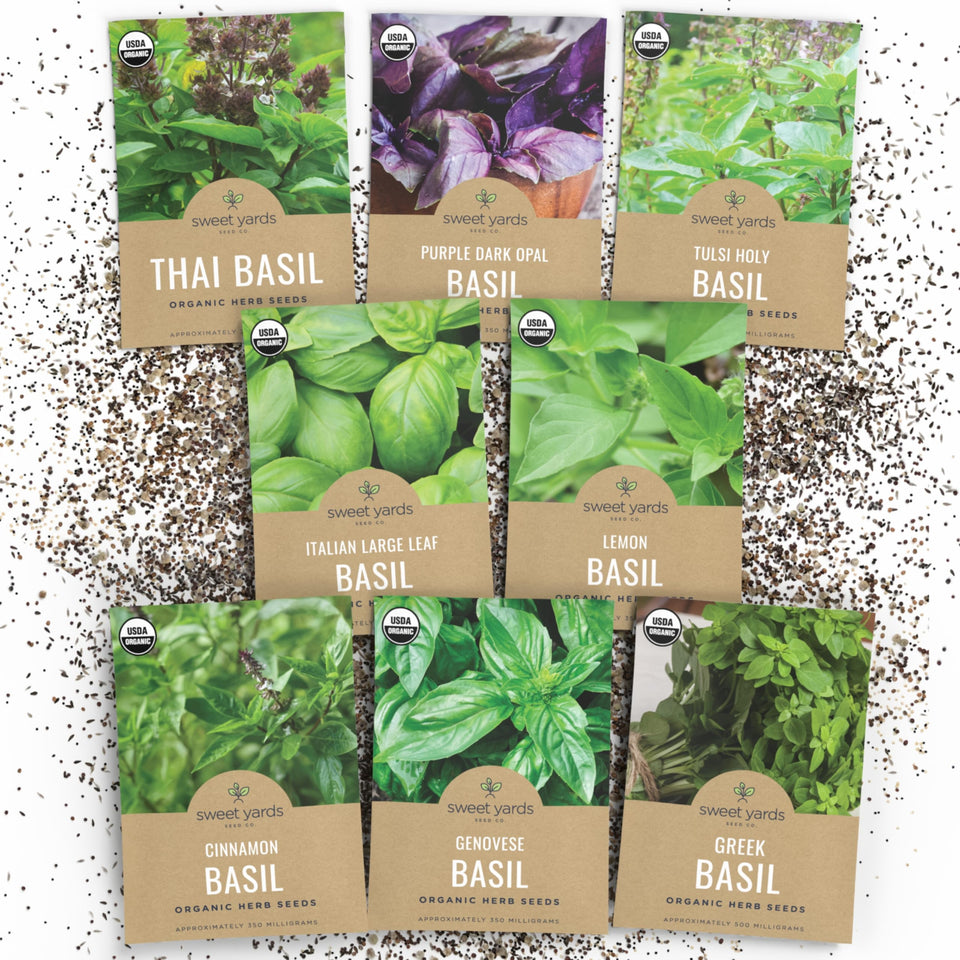 Sweet Yards Basil Seeds Genovese packet for fresh pesto and vibrant leaves.