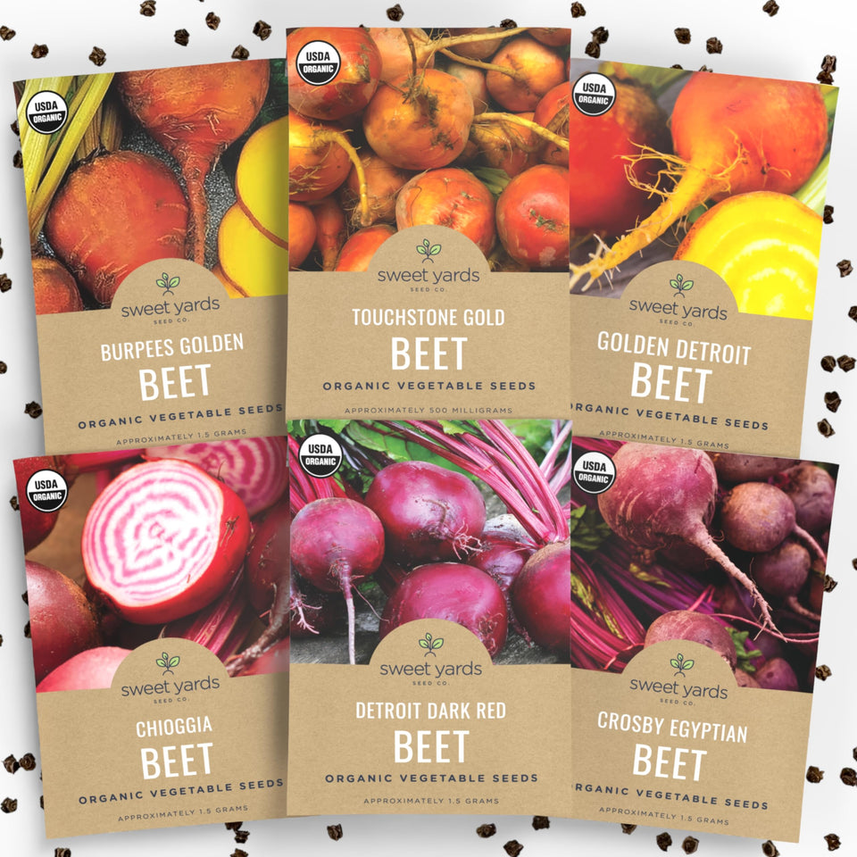 Sweet Yards Detroit Red beet seeds: vibrant roots for home gardens.