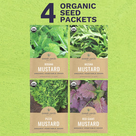 Sweet Yards Bekana mustard seeds packet for easy sowing and rich harvests