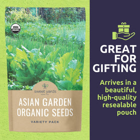 Sweet Yards black beauty eggplant seeds ready for potting or beds.