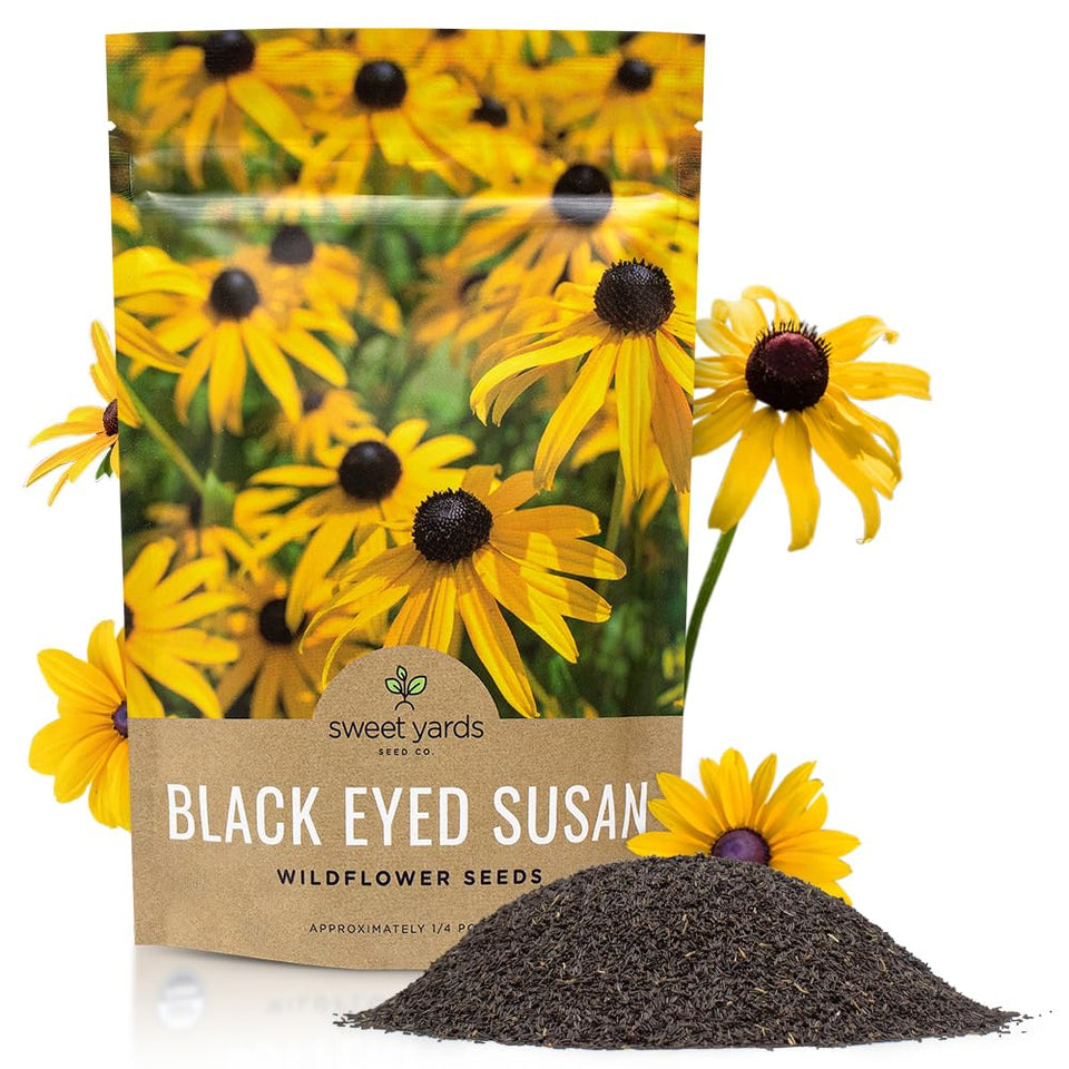 SWEET YARDS Black Eyed Susan seeds bulk quarter-pound bag for easy garden coverage