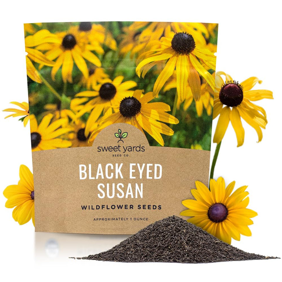 Sweet Yards Black Eyed Susan seeds extra large packet ideal for covering large garden areas