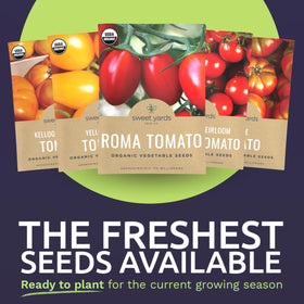 Sweet Yards Black Krim tomato seeds packet for deep color in salads