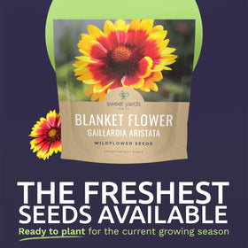 Sweet Yards Blanket Flower packaging shown with planting instructions, ideal as a gardener gift.