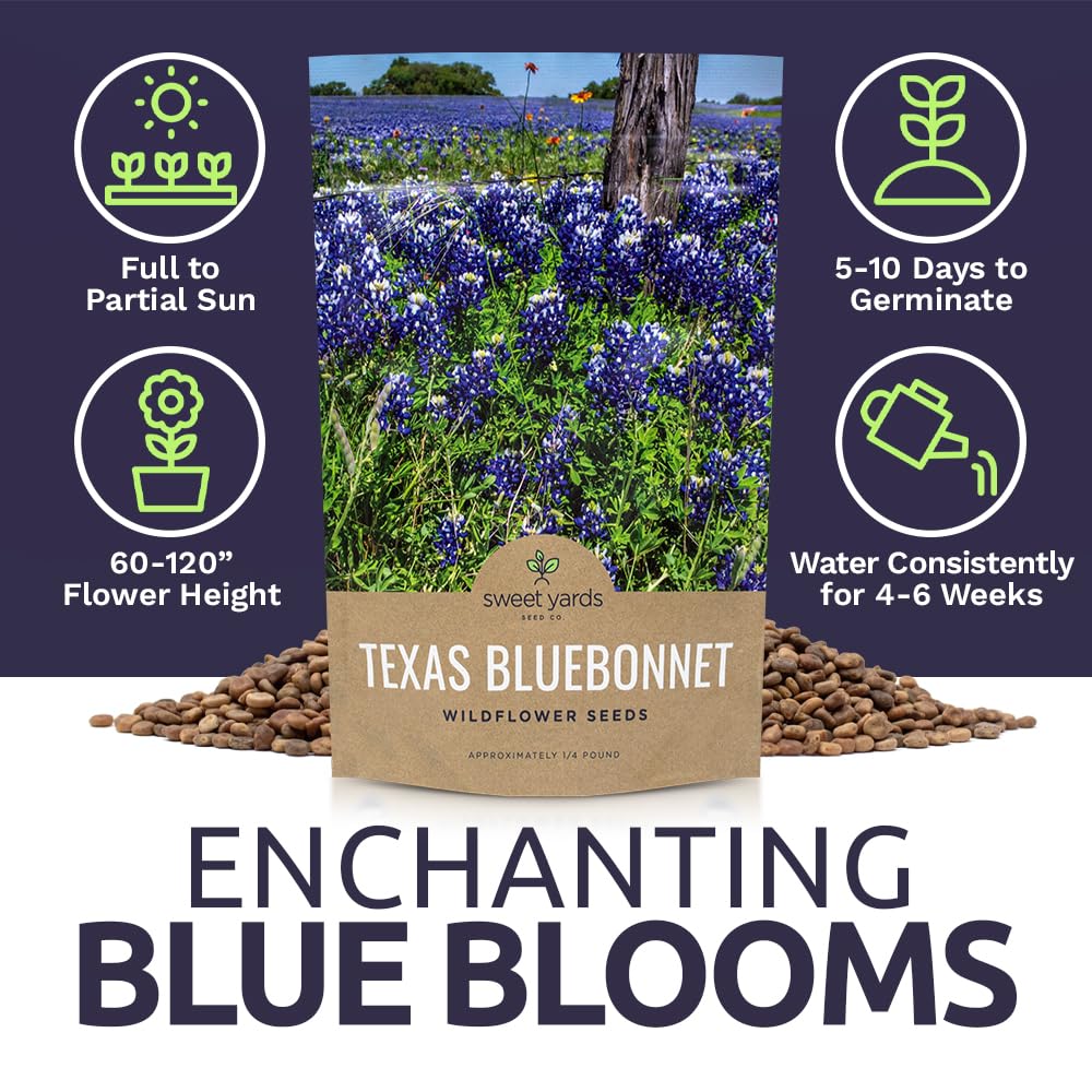 Sweet Yards Bluebonnet fields attract beneficial insects.