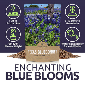 Sweet Yards Bluebonnet fields attract beneficial insects.