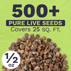 Sweet Yards bluebonnet seeds germination close-up demonstrates strong potential.