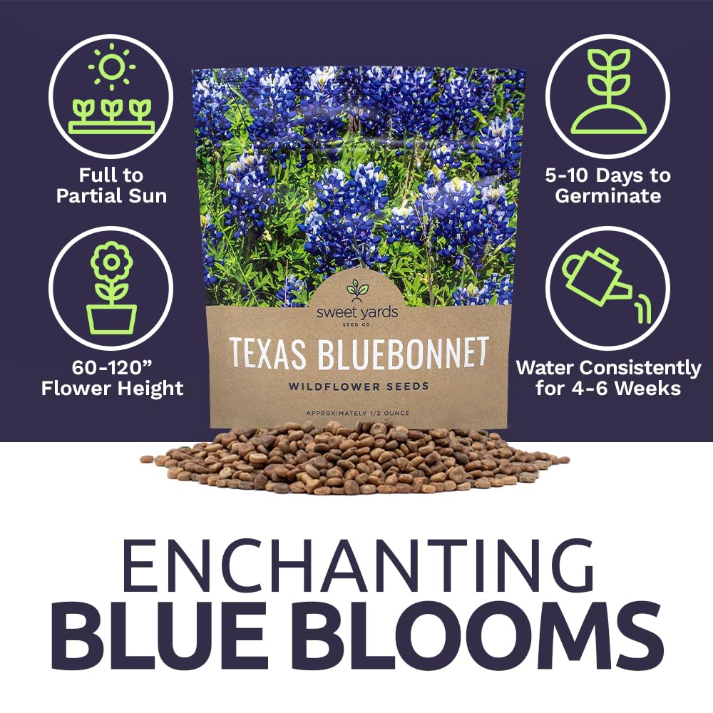 Sweet Yards bluebonnet blooms attract pollinators to native gardens.