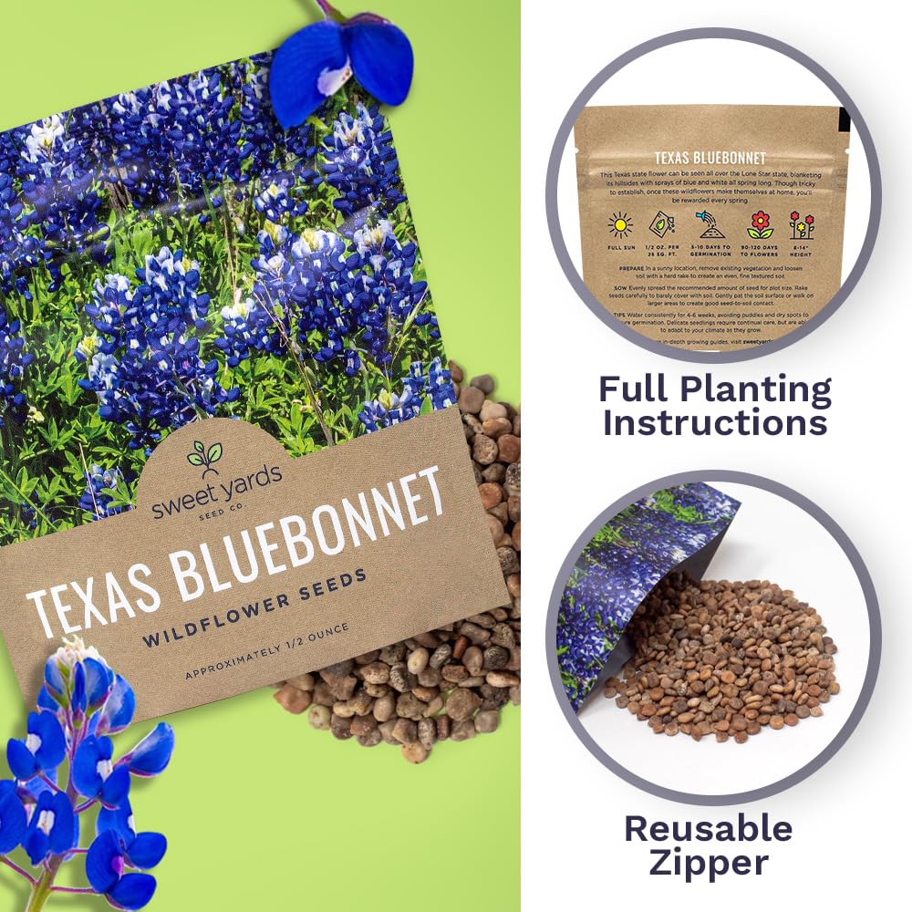 Sweet Yards bluebonnets in full bloom form a vivid garden display.