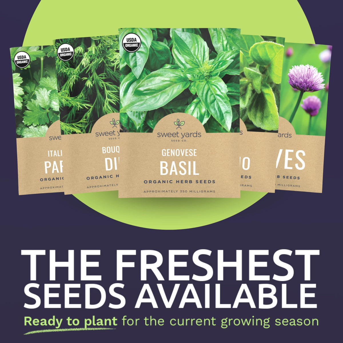 Sweet Yards Bouquet Dill seed packet for aromatic garnish