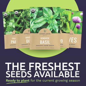 Sweet Yards Bouquet Dill seed packet for aromatic garnish