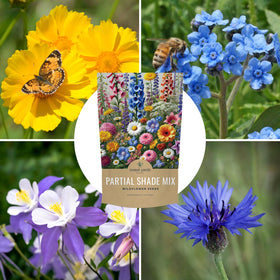 Sweet Yards bulk seeds bag on shelf for bulk purchases