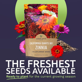 Sweet Yards quarter-pound zinnia seeds bag ready for garden planning