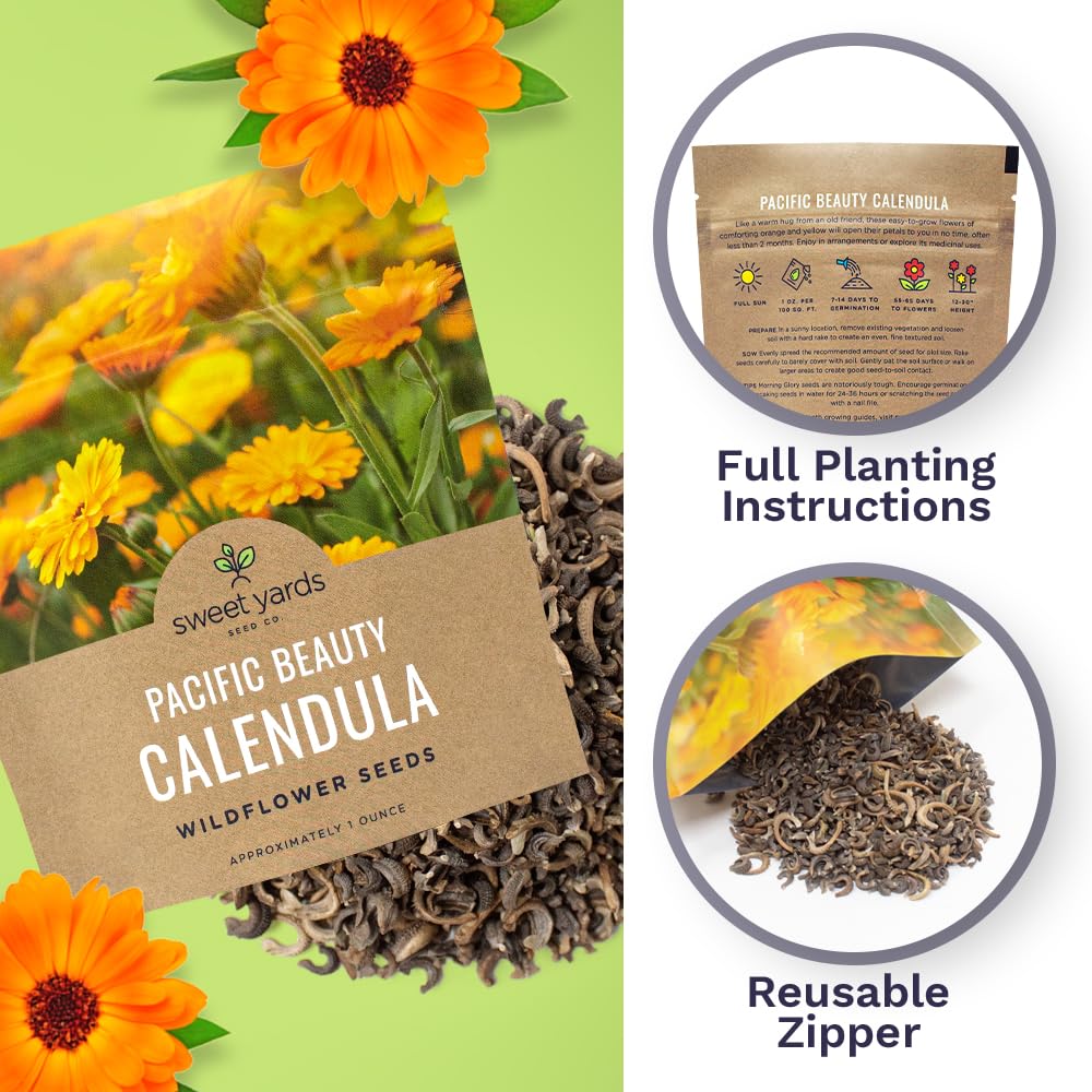 Sweet Yards Calendula Pacific Beauty Mix cut flowers in vase for arrangements