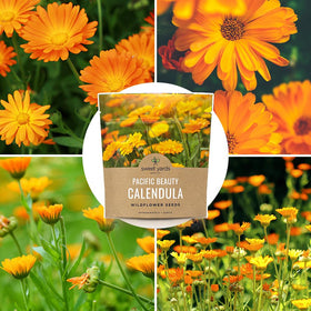 Sweet Yards Calendula Pacific Beauty Mix seed storage and planting instructions included