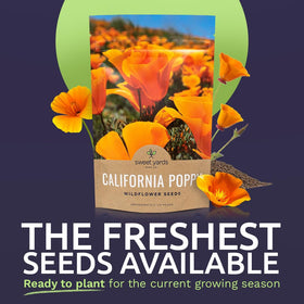 Sweet Yards resealable bag shows fresh storage and easy future reseeding.