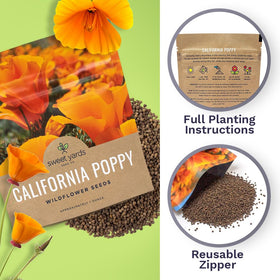 Sweet Yards fresh, high-germination seeds support rapid sprouting.