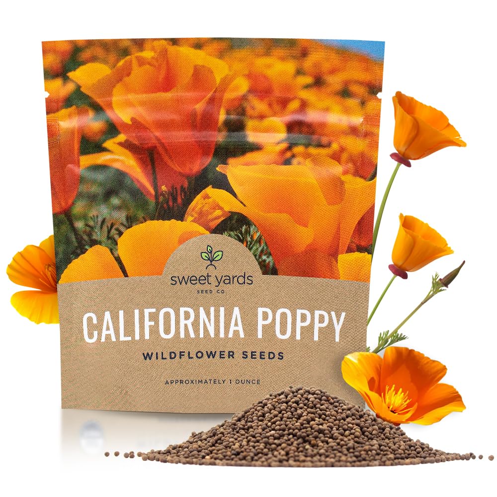 Sweet Yards California Orange Poppy seeds seed pack 1oz ready for bulk planting.