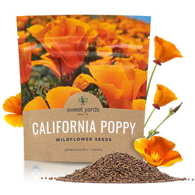 Sweet Yards California Orange Poppy seeds seed pack 1oz ready for bulk planting.