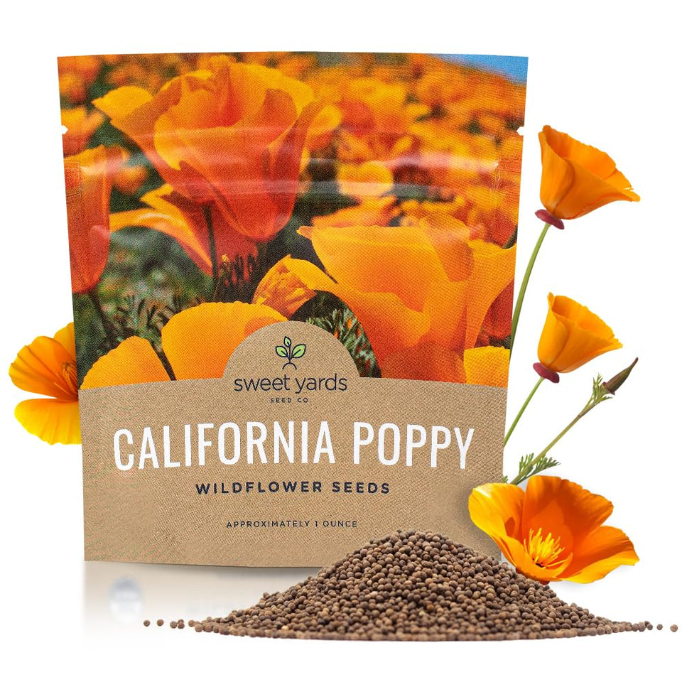 Sweet Yards California Orange Poppy seeds seed pack 1oz ready for bulk planting.