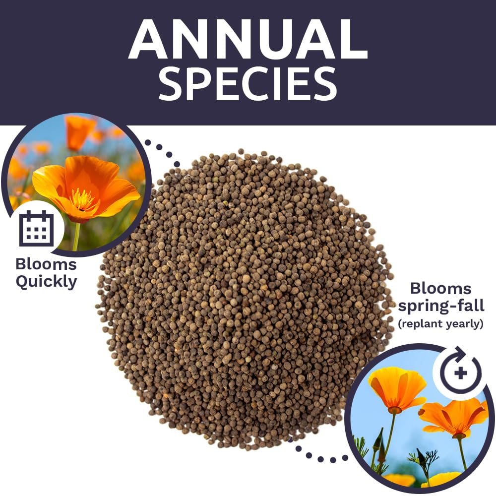 Sweet Yards USA-origin California native seeds for authentic landscapes.