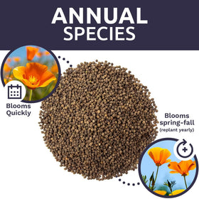 Sweet Yards USA-origin California native seeds for authentic landscapes.