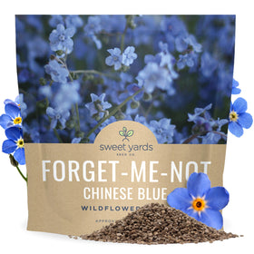 Sweet Yards Chinese Forget-Me-Not seeds bulk 1oz pack creates dense blue blooms along borders.