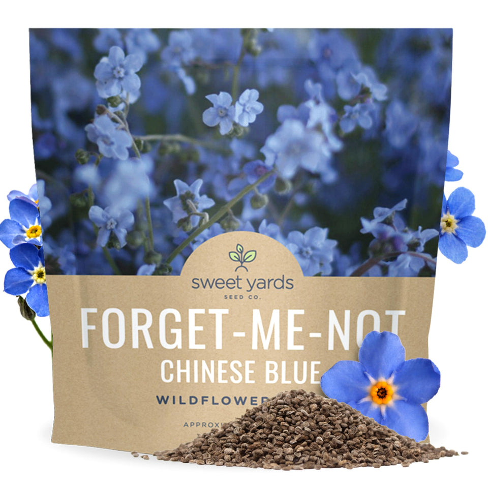 Sweet Yards Chinese Forget-Me-Not seeds bulk 1oz pack creates dense blue blooms along borders.