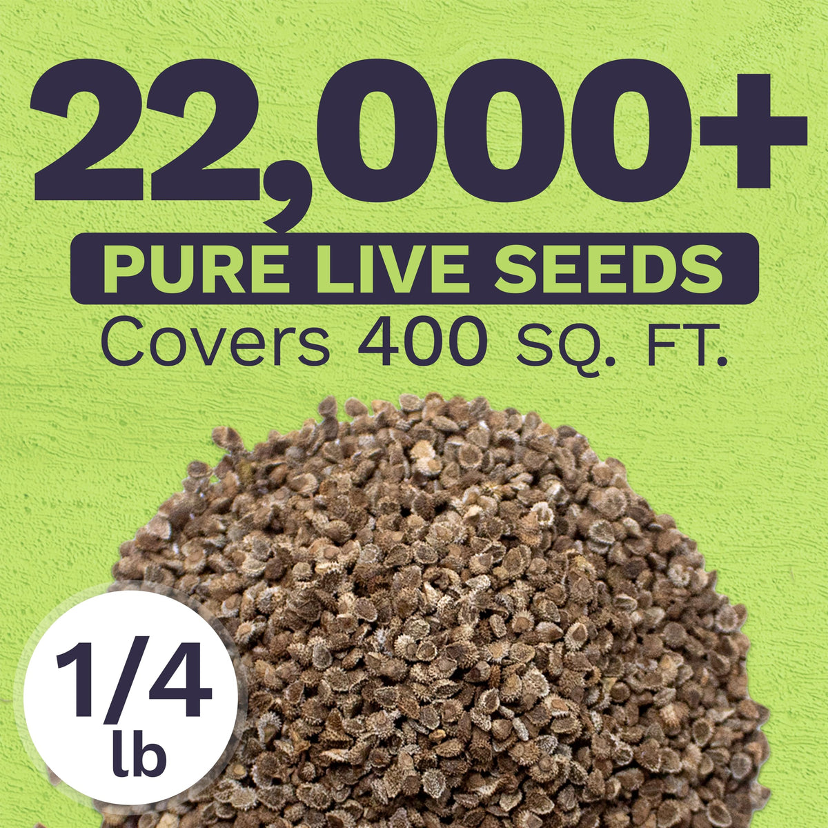 Open-pollinated seeds from Sweet Yards ready to diversify your blue garden
