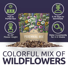 Sweet Yards colorful wildflower border design ideas for borders and pathways