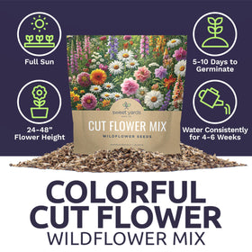Sweet Yards container garden with bright blooms in pots
