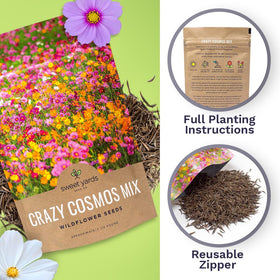 Sweet Yards Cosmos Seeds color palette featuring pink, yellow, orange, red, purple, white.
