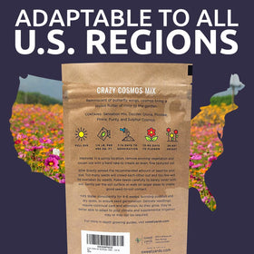 Sweet Yards Cosmos Seeds bulk bag covers up to four hundred square feet.
