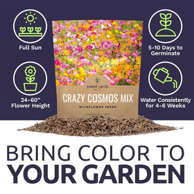 Sweet Yards Cosmos Seeds high freshness supports germination and early growth.