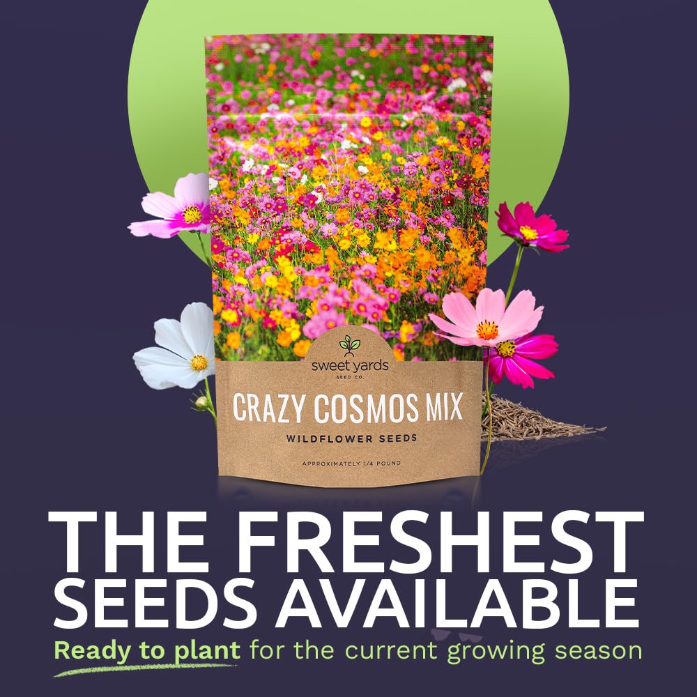 Sweet Yards Cosmos Seeds Wildflower Mix showing seven varieties for a colorful garden.