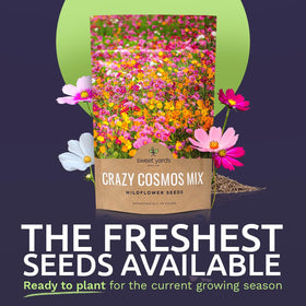 Sweet Yards Cosmos Seeds Wildflower Mix showing seven varieties for a colorful garden.