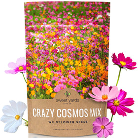 Sweet Yards Cosmos Seeds Wildflower Mixture bulk bag ready for planting and vibrant color.