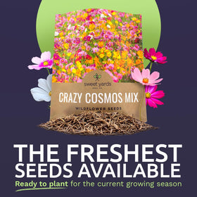 Sweet Yards Cosmos Seeds Wildflower Mixture contains over 5,000 seeds for abundant blooms