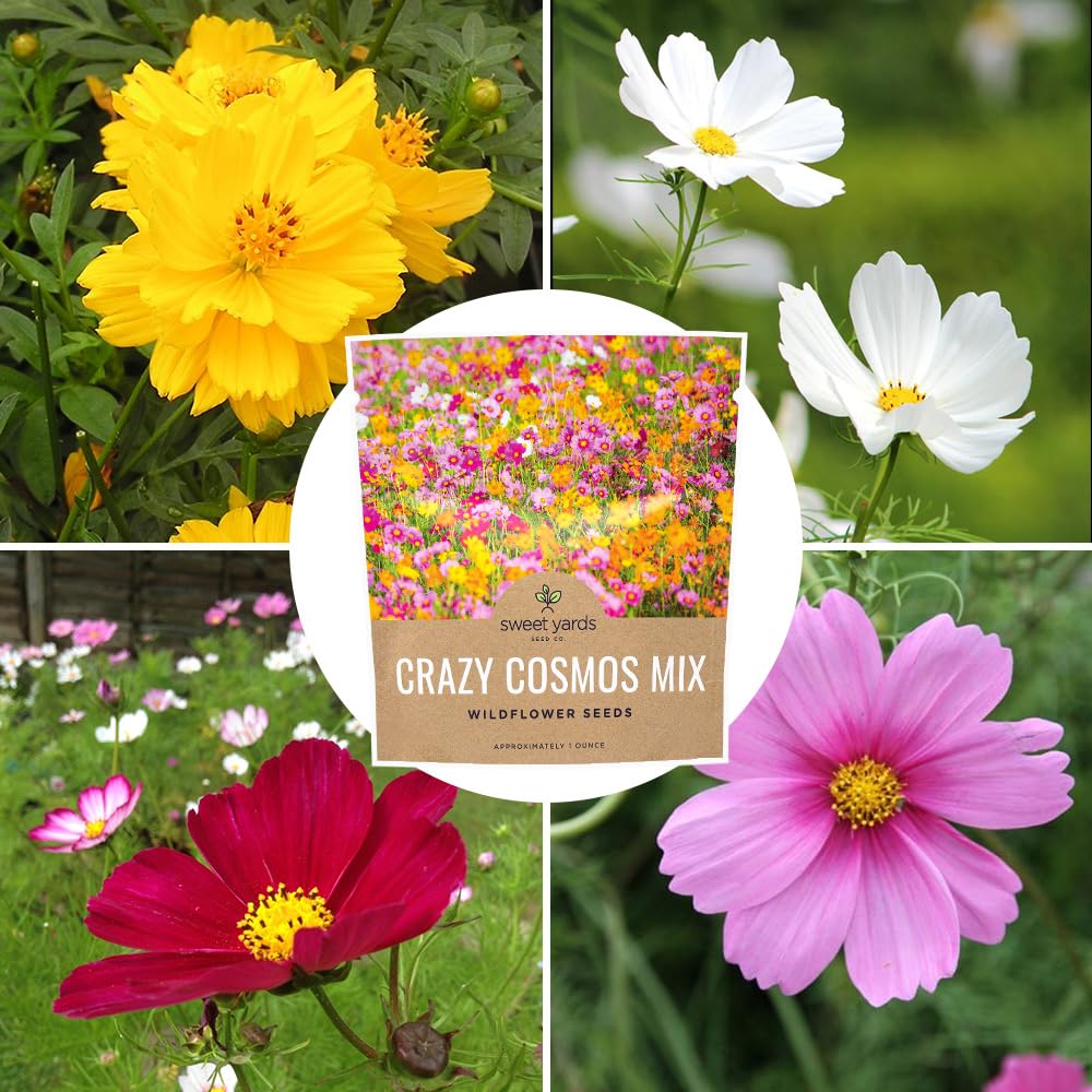 Sweet Yards Cosmos Seeds Wildflower Mixture includes packaging designed for storage