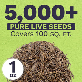 Sweet Yards Cosmos Seeds Wildflower Mixture with reusable packaging for seed storage