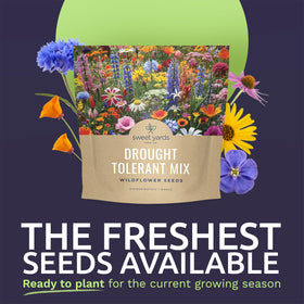 Sweet Yards 100-square-feet coverage seed pack helps define borders.