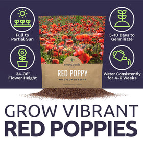 Sweet Yards deer-resistant poppy supports resilient garden design.