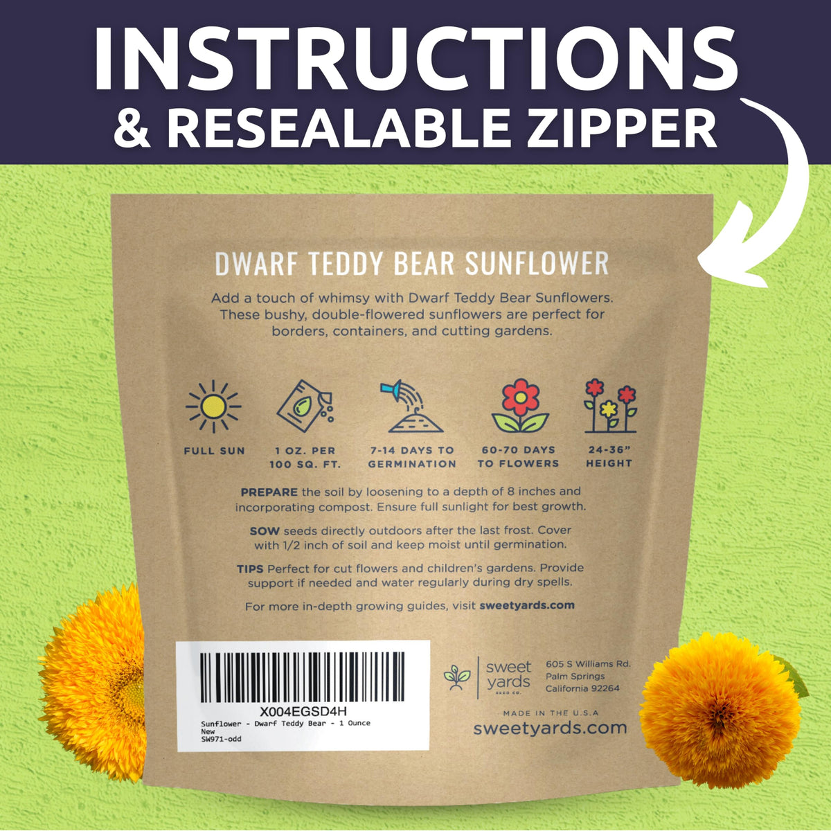 Sweet Yards Dwarf Teddy Bear sunflowers brighten a container garden.